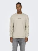 Only & Sons Onscurated reg crew neck sweat