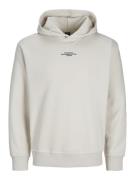 Jack & Jones Jcoalpha mountain print sweat hood