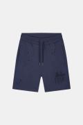 Malelions Painter shorts