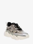 Steve Madden Dames sneaker spectator