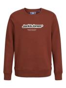 Jack & Jones Jorvesterbro newton brndg sw cn bf