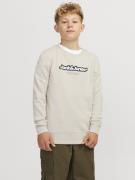 Jack & Jones Jorvesterbro newton brndg sw cn bf