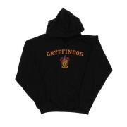 Harry Potter Heren gryffindor crest hoodie