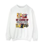 DC Comics Heren dc league of super-pets profiel sweatshirt