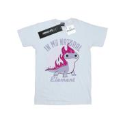 Disney Heren frozen 2 salamander bruni element t-shirt