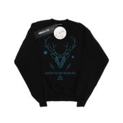 Harry Potter Heren expecto patronum sweatshirt