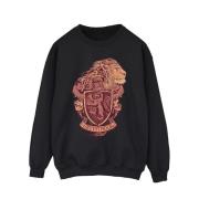 Harry Potter Heren gryffindor schets crest sweatshirt