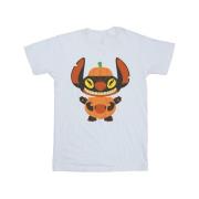 Disney Heren lilo & stitch pompoen kostuum t-shirt