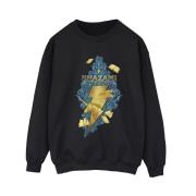 DC Comics Dames shazam fury of the gods golden animal bolt sweatshirt