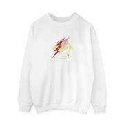 DC Comics Dames the flash lightning logo sweatshirt