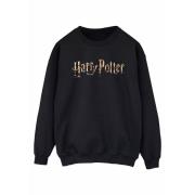 Harry Potter Sweatshirt met logo voor heren