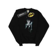 DC Comics Dames batman alex ross catwoman sweatshirt