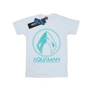 DC Comics Dames aquaman aqua logo boyfriend t-shirt