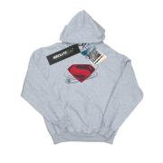 DC Comics Heren justice league movie superman logo hoodie