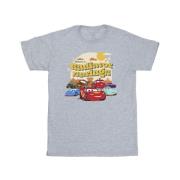 Disney Heren cars radiator springs groep t-shirt