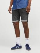 Jack & Jones Jjirick jjicon shorts sq 612 i.k ss