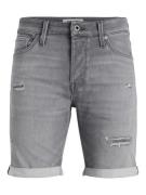 Jack & Jones Jjirick jjiorg shorts ge 380 i.k jn