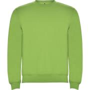 Roly Kinderen/kinderen clasica sweatshirt met ronde hals