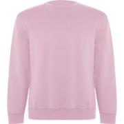 Roly Unisex adult batian sweatshirt met ronde hals