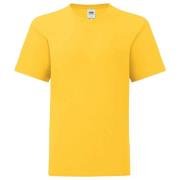 Fruit of the Loom Kinderen/kinderen iconisch t-shirt