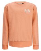 Retour Sweat rjb-051-703 eelco