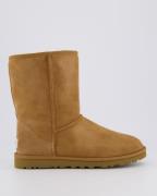 UGG Australia Heren classic short chestnut