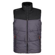 Regatta Geïsoleerde bodywarmer heren regime