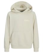 Jack & Jones Hoodie 12274622