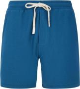 Protest graig shorts zwemshort heren -