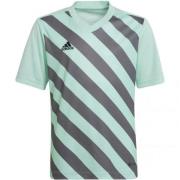 Adidas Kinder/kids entrada 22 grafische trui
