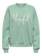 Only Onlbetty ls o-neck print box cs swt mint