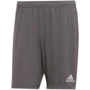 Adidas Heren entrada 22 korte broek