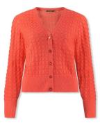 Lizzy & Coco Vest ezzi
