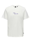 Only & Sons Onskye reg photo ss tee off-white