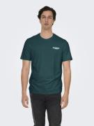 Only & Sons Onschris life reg ss tee