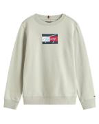 Tommy Hilfiger Sweat kb0kb09741