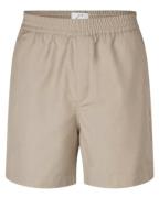 Plain Short 40452