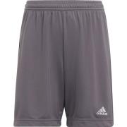Adidas Kinderen/kinderen entrada 22 korte broek