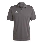 Adidas Heren entrada 22 poloshirt