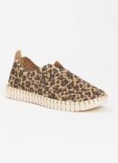 Ilse Jacobsen Tulip slip-on met panterprint
