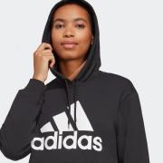 Hoodie Essentials Big Logo Regular