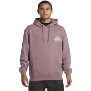 Hoodie met klein logo