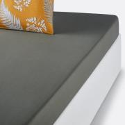 Hoeslaken in perkalkatoen, Fougère