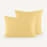 Kussensloop in biologisch tetra, Yafa