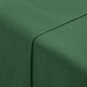 Effen plat laken in perkalkatoen Scenario