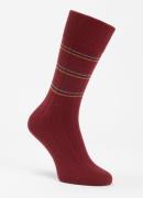 Falke Lhasa Special Edition sokken in kasjmierblend