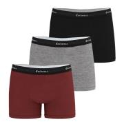Lot de 3 boxers unis Tailor