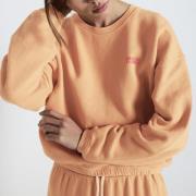 Sweat col rond IZUBIRD