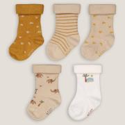 Lot de 5 paires de chaussettes