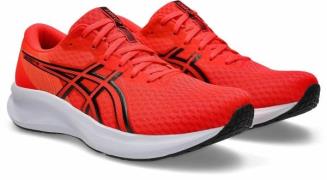 Baskets Patriot 14